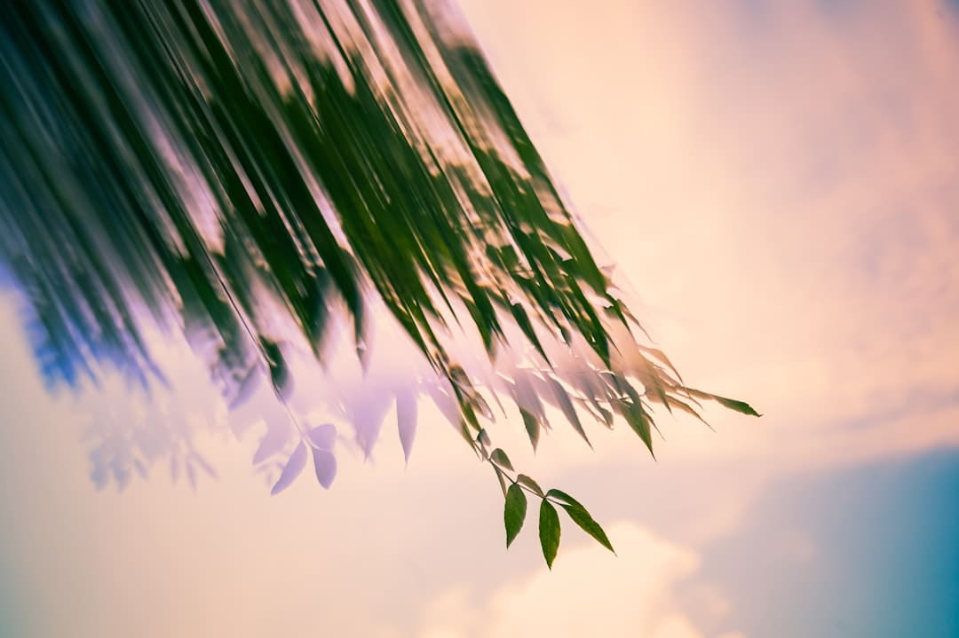 《归队》福庆角色介绍